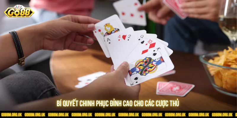 Bí quyết chinh phục đỉnh cao cho các cược thủ