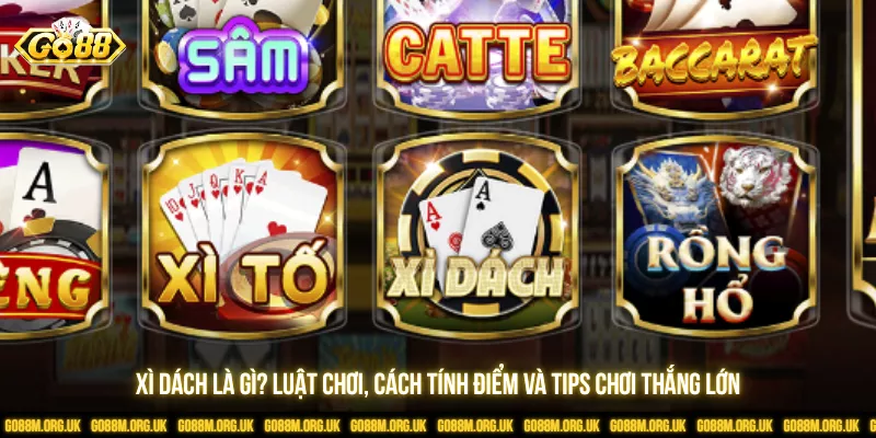 Xì Dách Là Gì? Luật Chơi, Cách Tính Điểm Và Tips Chơi Thắng Lớn